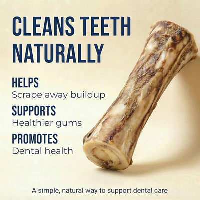 K9warehouse USA Marrow Bones for Dogs, 5-6" Smoked Beef Bone Marrow Dog Treats, 3 Count, All-Natural Real Bones, Long-Lasting Chew for Aggressive Chewers, High-Protein Dental Chews for All Breeds