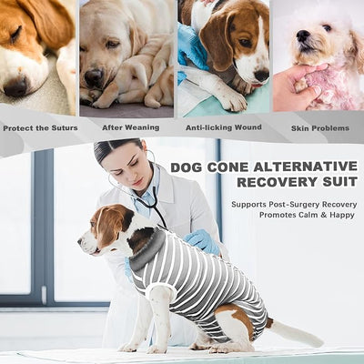 Recovery Suit for Dogs, Soft Dog Surgery Suit for Female Spay Male Neuter | Dog Cone Alternative Surgical Recovery Shirt for Abdominal Wounds, Anti-Licking Pet Clothes for Dogs Cats, Grey, Medium
