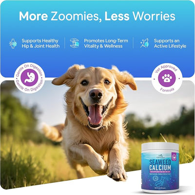 Seaweed Calcium Powder for Dogs and Cats - Vet Recommended Calcium Supplement for Dogs with 72 Trace Minerals, Wild Icelandic Marine Algae for Strong Bones, Teeth, Joints and Muscles, 14oz