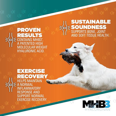 TRIXSYN - Canine Performance Hip and Joint Supplement for Dogs, 6 fl oz - Hyaluronic Acid Liquid HA with Patented MHB3 Formula to Support Joint Mobility & Recovery - 72 Day Supply