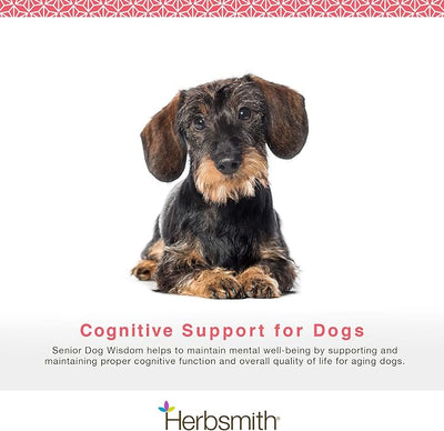 Herbsmith Senior Dog Wisdom – Dog Dementia Supplement – DHA for Senior Dog Brain Health - Senior Supplement for Dogs- 75g