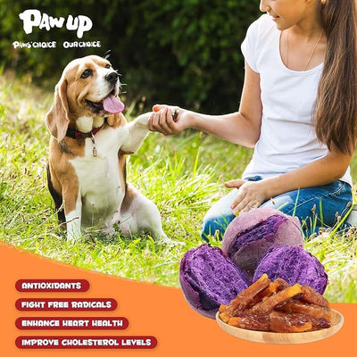 PAWUP Chicken Sweet Potato Dog Treats, Double Sweet Potato Chews with Taurine, Healthy Pet Snacks for Small Medium Large Dogs, 12.5 oz (Pack of 2)