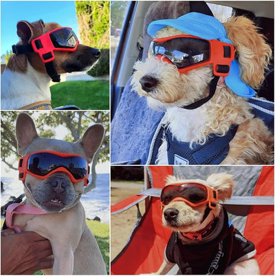 Enjoying Dog Sunglasses Medium Breed, Dog Goggles UV Protection, Cycling Eye Protection for Medium-Small Dogs, Outdoors Breathable Windproof Dustproof Anti-Fog, Adjustable Straps, Cool Orange