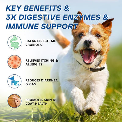 Probiotics for Dogs Dog Probiotic Chews for Yeast Itch Relief Ears Skin Coat, Gut Digestive Health & Immune Support with 11Billion CFU Probiotics, 6 Enzymes, 4 Prebiotics, Pumpkin, 200ct