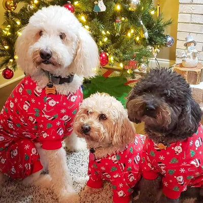 KYEESE Christmas Dog Pajamas Santa Claus Turtleneck Dog Pjs for Small Dogs Holiday Pet Onesie Soft Velvet 4 Legs Cozy Pet Sleepwear Warm Doggie Christmas Outfit, X-Large