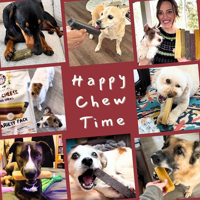 Majestic Pet Himalayan All-Natural Cheese Dog Chews - Long Lasting Dental Chew for Dogs - Healthy Pet Treats with Beneficial Ingredients (Digestive & Immune Support, Large, 5 Pack)