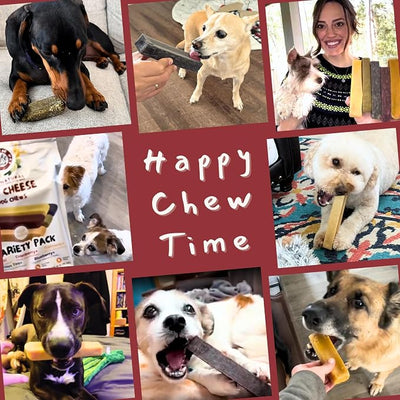 Majestic Pet Himalayan All-Natural Cheese Dog Chews - Long Lasting Dental Chew for Dogs - Healthy Pet Treats with Beneficial Ingredients (Calm & Joint Wellness, Regular, 5 Pack)