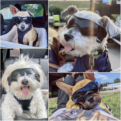 Enjoying Dog Sunglasses Medium Breed, Dog Goggles UV Protection, Cycling Eye Protection for Medium-Small Dogs, Outdoors Breathable Windproof Dustproof Anti-Fog, Adjustable Straps, Cool Black