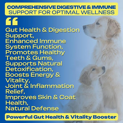No Poo Chews for Dogs – Stop Stool Eating with Coprophagia Deterrent – Probiotic & Enzyme Soft Chews – Digestive & Breath Support – 120 Bacon-Flavored Chews