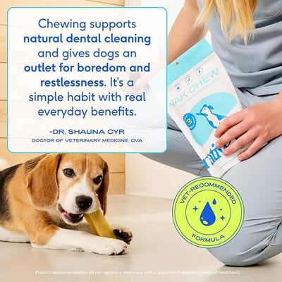 Native Pet Yak Cheese Himalayan Dog Chews - Long Lasting Dental Sticks for Large Breeds – 100% All Natural Himalayan Yak Chews for Large Dogs – Cheese Bone for Aggressive Chewers - 3 Per Pack