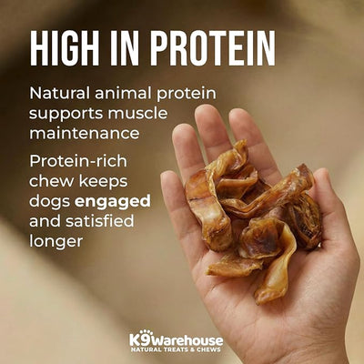 K9warehouse Pig Ears Strips - 32oz USA Packed - Natural Bulk Pig Ear Slivers - Treats Made of 100% Pure Pork - Alternative to Rawhide Chews - Thick Cut Pigs Ear Dog Treats for Small to Large Dogs