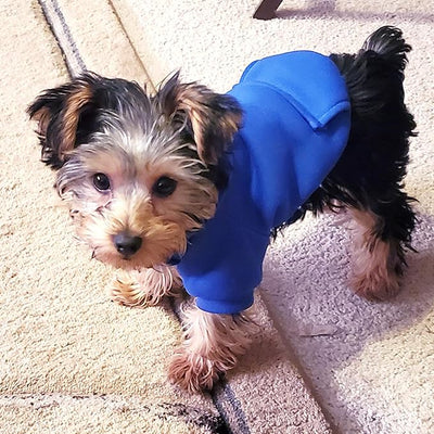 Jecikelon Soft Dog Hoodies for Small Dogs, Fleece Puppy Sweatshirt with Pockets, Warm Winter Cold Weather Coats for Pet Cat, Cute Clothes Puppy Costume (Dark Blue, X-Small)