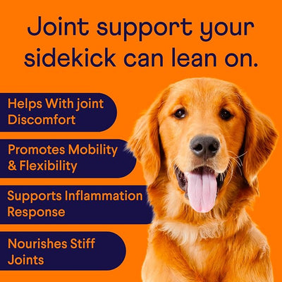 Finn Hip & Joint Chews for Dogs | Glucosamine, Chondroitin & MSM | 90 Ct