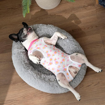 2 Packs Pet Dog Recovery Onesie Suit for Dogs Cats After Surgery,Dog Abdominal Wounds Bandages Cone E-Collar Alternative. (White Flower, XL)