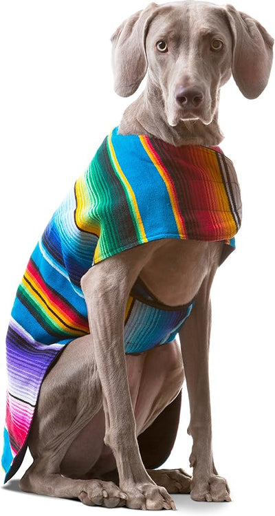 Dog Clothes - Handmade Dog Poncho from Authentic Mexican Blanket by Baja Ponchos (Blue, XXL)