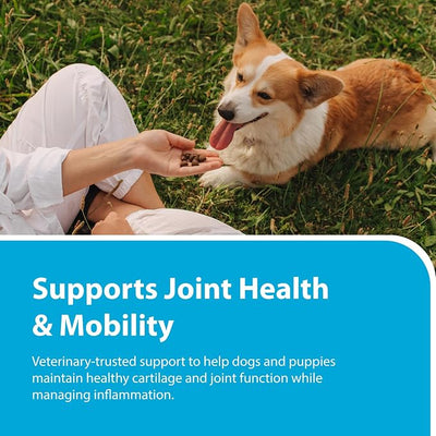 PRN Pharmacal Duralactin Canine Joint Plus Soft Chews - Joint Health Supplement for Dogs & Puppies - Pet Mobility Support - 60 Soft Chews
