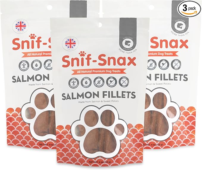 Salmon Fillets Dog Treats 3 Pack – All Natural Human Grade Grain Free Training & Reward – High Protein Salmon Sticks for Dogs, Healthy Puppy Treats, Soft Jerky-Style Strips