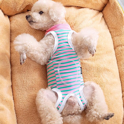 2 Packs Pet Dog Recovery Onesie Suit for Dogs Cats After Surgery,Dog Abdominal Wounds Bandages Cone E-Collar Alternative. (Grey, XL)