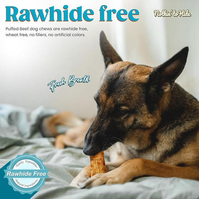 Fieldcrest Farms Nothin to Hide Flip Chips Dog Chews - Natural Rawhide Alternative Treats for Dogs, Collagen Based Snack for Moderate Chewers Up to 35lbs, Beef Flavor - 2 Packs (16 Chips)