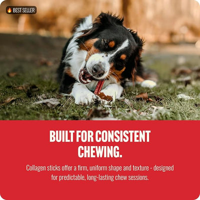 Natural Farm Odor-Free Super Collagen Dog Chews (3-5 Inch, 10-Pack) The First Ever Real Bull Sticks Alternative: 100% Natural Angus Hide Collagen Treats - More Protein, More Chew Time for All Dogs