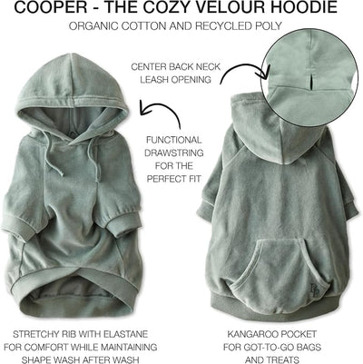 Pet Passion Cooper II Organic Cotton Velour Dog Hoodie Pet Coat for Small, Medium and Large Dogs, Sage, XX-Large (70-110 lbs)