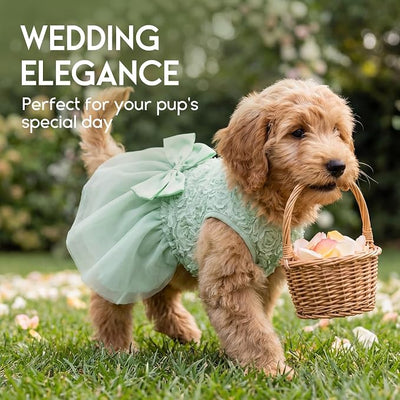 ASENKU Dog Dress Pet Wedding Dress Princess Lace Puppy Birthday Party Outfit Formal Apparel Girl for Small Medium Dogs Cats (XX-Small, Green)