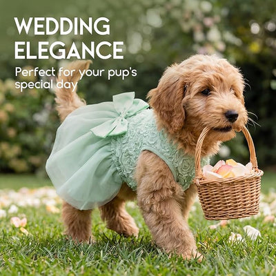 ASENKU Small Dog Dress Pet Wedding Dress Princess Lace Puppy Birthday Party Outfit Formal Apparel Girl for Only Small Medium Dogs Cats (Large, Green)