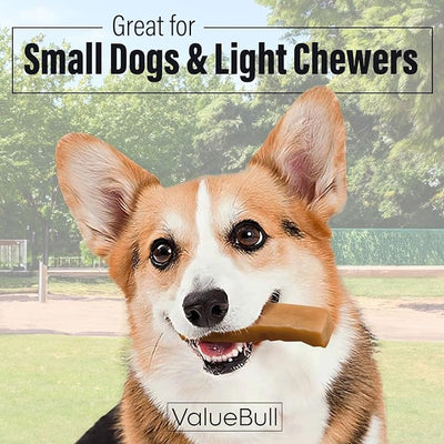 ValueBull Himalayan Yak Cheese Dog Chews, Small, 100 ct Wholesale Pack - Long Lasting for Aggressive Chewers, All Natural, Healthy & Safe, Low Odor Nepal Yak Milk Chews