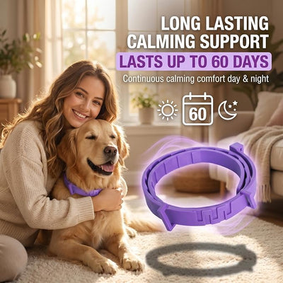 Calming Collar for Dogs 4 Pack – Pheromone Dog Anxiety Relief, Adjustable Silicone Collar, Separation Anxiety Relief for Dogs, Fits, Lasts 60 Days