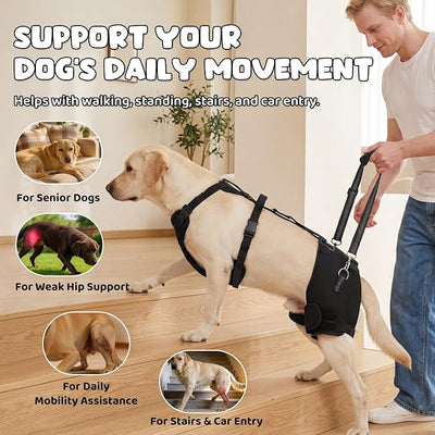 BALAPET BALAPET Dog Hip Brace Support Harness with Lift Handle, Adjustable Hip Support Brace for Large Dogs, Soft Removable Hip Pads, Mobility Assistance Harness for Walking, Stairs & Car Support (L)