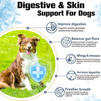 Probiotics for Dogs Digestive Health, Natural Probiotic Supplement with Digestive Enzymes and Prebiotic, Probiotic Chews for Dogs Support Gut Health, Relieve Diarrhea, Enhance Immunity