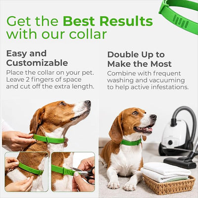 FurLife Flea and Tick Collar for Dogs – Waterproof Grey Dog Collar, Pet Supplies for Tick and Flea Prevention for Dogs, Safe for All Breeds