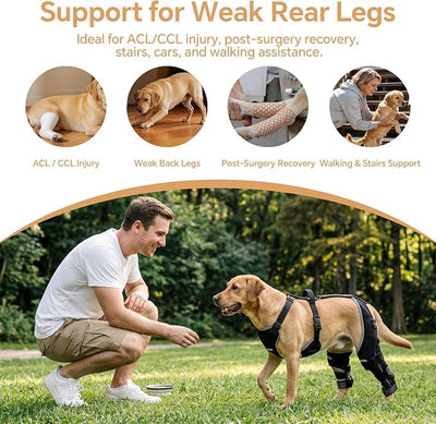 BALAPET Dog Rear Leg Brace for ACL/CCL Injury, Hinged Hind Leg Support Harness for Weak Back Legs, Torn ACL, Post-Surgery Recovery, Stairs, Car & Walking Assistance(L)