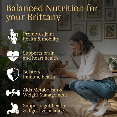 Brittany Multivitamins, 90 Count, Made in the USA with Real Bacon.