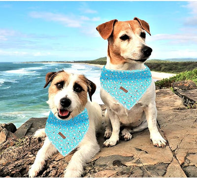 Lionheart glory Dog Bandana 1 Pack Washable Soft Blue Dog Scarf, Shark Print Bandana Square Adjustable Dog Bandanas for Small Medium Large Dogs