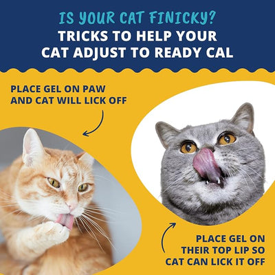Under The Weather Pet | Ready Cal for Cats 100cc | High Calorie Supplement | Cat Weight Gainer and High Calorie Booster | 10 Vitamins, 7 Minerals & Omega Fatty Acids (for Cats 100cc)