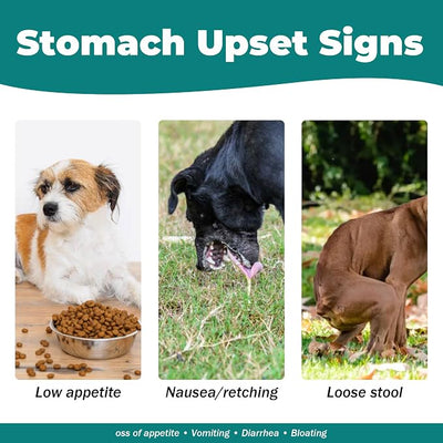 Dog Upset Stomach Relief for Nausea | Probiotics for Dogs | Soothe Upset Stomach | Dog Slippery Elm & Pumpkin | Support Digestive Health | 2.12 OZ Chicken Flavor
