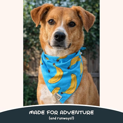 Snap-On Dog Bandana for Small Medium Large Pets, Dogs Cats Adjustable Handkerchief Scarf for Girl & Boy, Funny Cute Puppy Apparel & Accessories (Turquoise Banana, Medium)