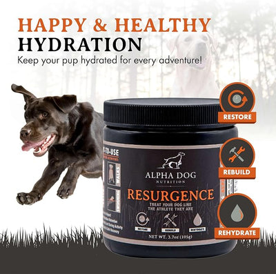 Alpha Dog Nutrition Electrolytes for Dogs - PhD Formulated Hydration Supplement with Beef Flavor for Active Canines - Versatile Powder for Dehydration Recovery and Stamina