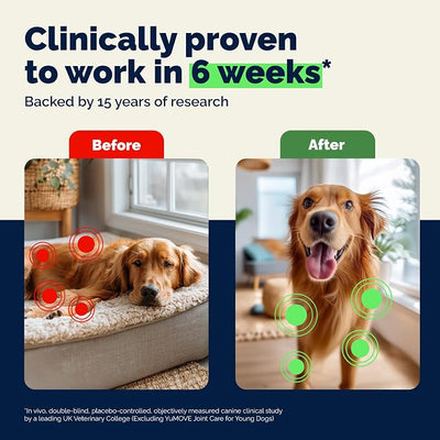 YuMOVE Adult Dog Hip & Joint Soft Chews, ActivEase Green Lipped Mussel, Glucosamine for Dogs, Hyaluronic Acid & Omega 3 - Barbecue Flavor (150ct Chews, Regular Strength)