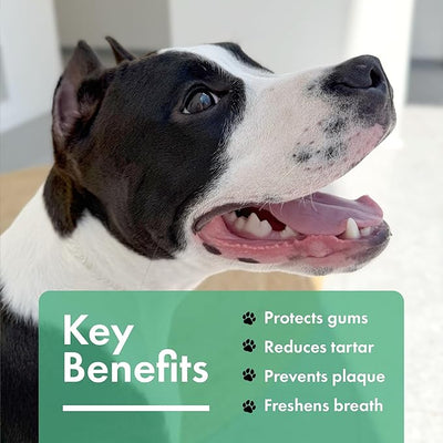 Dog Dental Powder, Pet Tartar and Plaque Remover for Teeth, Dog Breath Freshener, Tooth Cleaning Powder with Probiotics and Brown Algae for Dogs of All Breeds and Sizes, Duck Flavor