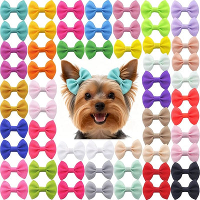 QingHan Hair Bows for Small Dog - 2 inch Pet Bowknots 60pcs (30 Pairs) - Puppy Dogs Grooming Hair Accessories - Dog Hair Clips for Yorkie, Maltese, Shih Tzu