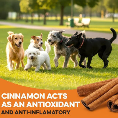 BRUTUS & BARNABY USA Sweet Potato Dog Treats - Grain Free, Cinnamon Pumpkin Crunchy Sticks are Great Tasting, Promotes Positive Dog Gut Health with Natural Anti-Diarrhea Properties,(2lb Bag)