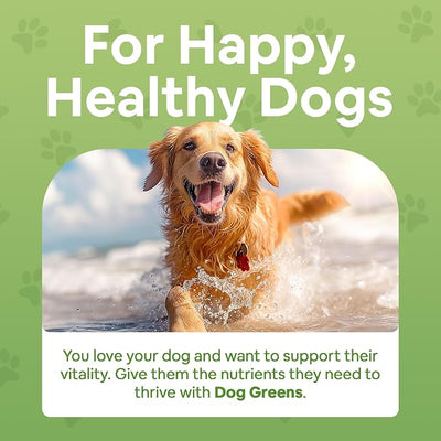 Organic Dog Multivitamin Supplement (12 oz) | Dog Greens Powder - Human Grade Superfoods, adds Essential Vitamins & Minerals to Balance a Homemade Diet, Kibble, Vegan or Raw Food (2 Pack)