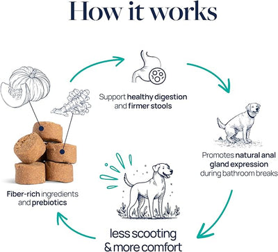 Veterinary Formula Anal Gland Support Chews for Dogs, 120 Count | no scoot chews, dog anal gland supplement, pumpkin and probiotics, soft chews for all breeds and sizes