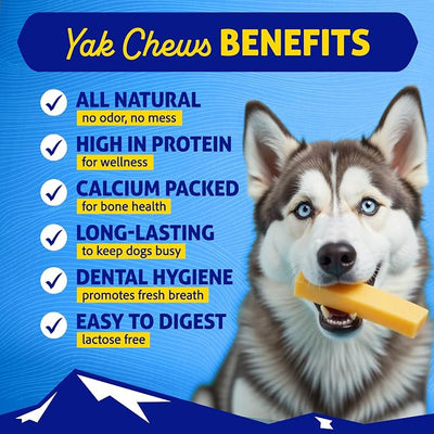 Himalayan Dog Chew Peanut Butter Yak Cheese Dog Chews, The Better-for-You Chew, 100% Natural Long Lasting, Healthy Dog Treats, Lactose & Grain Free, Protein Rich, for Dogs 65 Lbs & Smaller, 4-Count