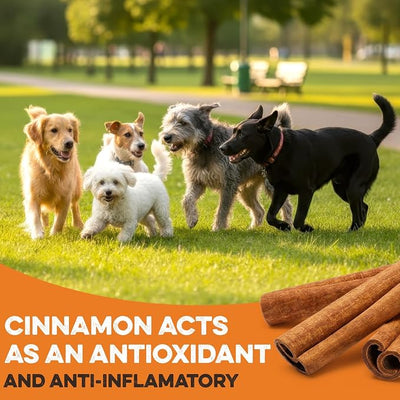 BRUTUS & BARNABY USA Sweet Potato Dog Treats - Crunchy Grain Free Cinnamon Apple Sticks, Promotes Positive Gut Health with Natural Anti-Diarrhea Properties (Cinnamon & Apple, 8 oz)