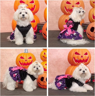 CuteBone Halloween Dog Dresses Velvet Holiday Small Dogs Clothes Onesie Pet Apparel Girl Puppy Skirt with Bow Hair Rope CVA60S-D