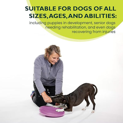 FitPAWS® Dog Balance Disc – 14”, Razzleberry | Dog Exercise Equipment | Workout Tool for Strength, Core, Stability & Rehabilitation