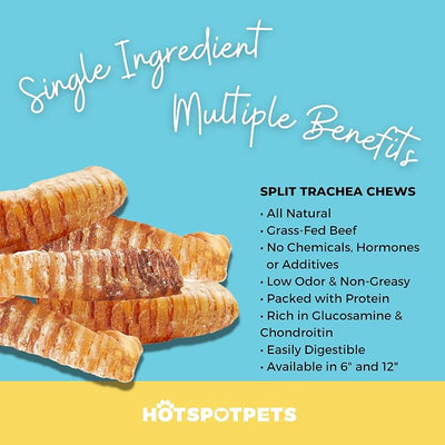 hotspot pets Premium Beef Trachea for Dogs 6" Strips Split (10 Pack) All Natural Grass-Fed Beef Dog Chews, Rich in Glucosamine Chondroitin for Joint Health, Single Ingredient No Rawhide Dog Treats